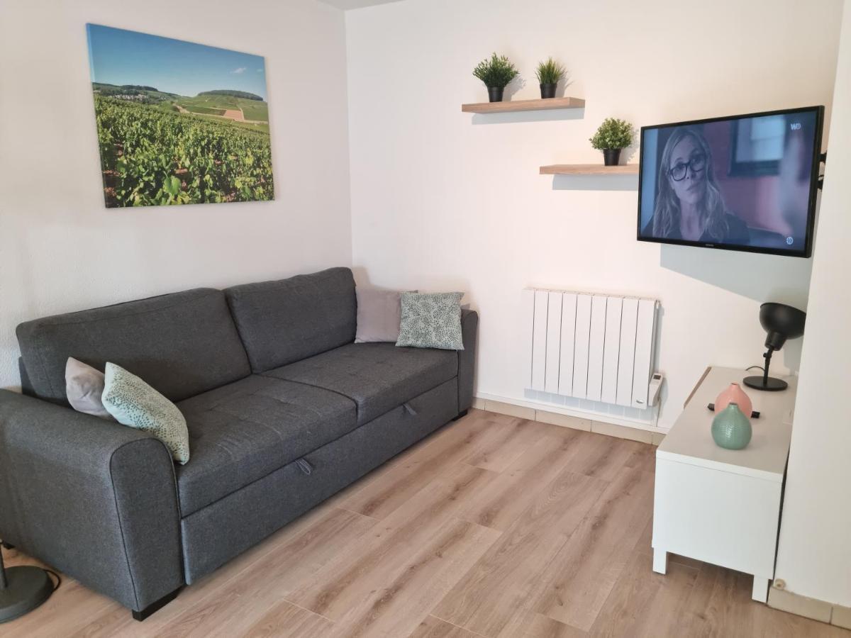 Beaune Appartement Avec Parking Et Wifi Gratuit Экстерьер фото